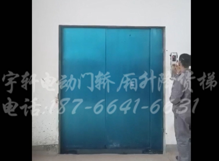 电动门轿厢升降货梯